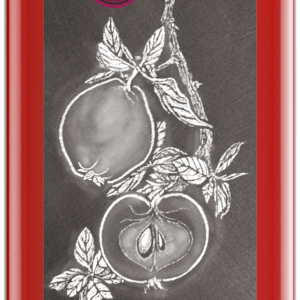 Apfel-Quitten Balsamessig 250 ml