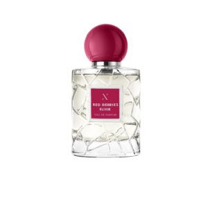 Red Berries Elixier