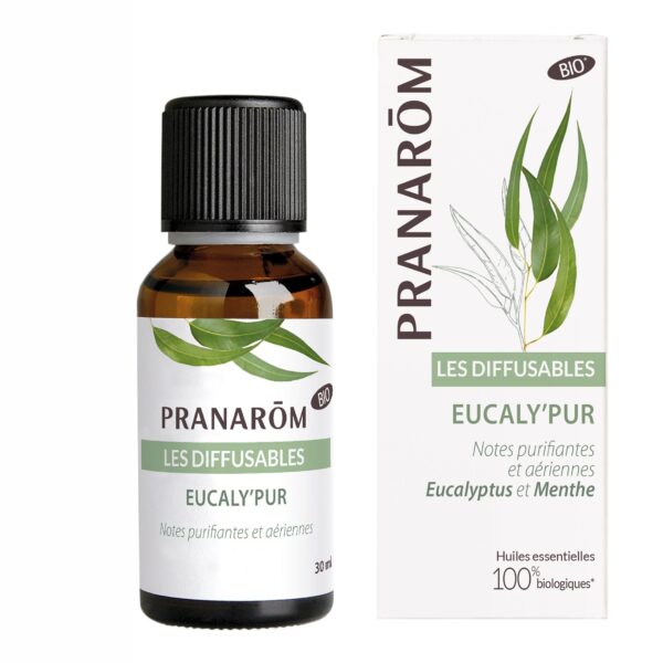 Bio Aromamischung "Eucaly'Pur"