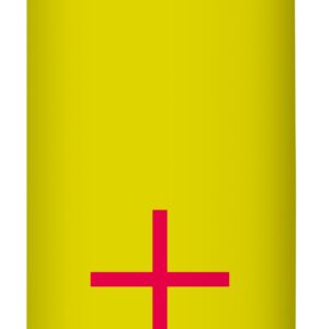 Hair Care Glanz Shampoo Zitrone für normales Haar