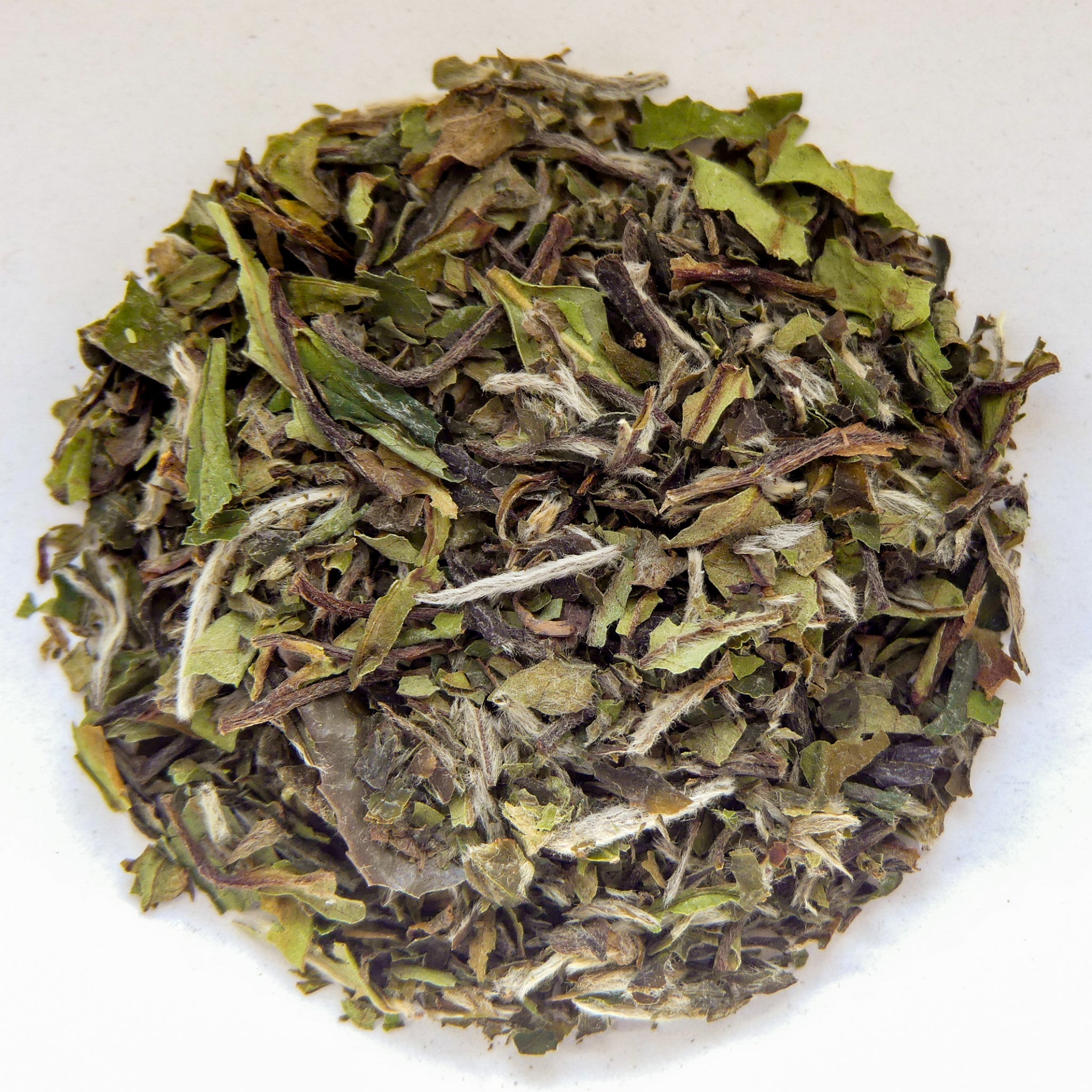 Pai Mu Tan 1 Pai Mu Tan